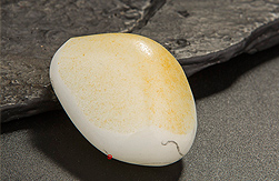 和田玉在哪里有出产？