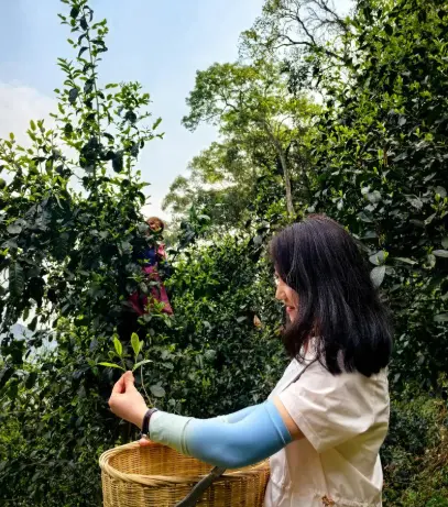 上海景点打卡推荐榜刷屏朋友圈，同城交友休闲娱乐新玩法你还没上车？