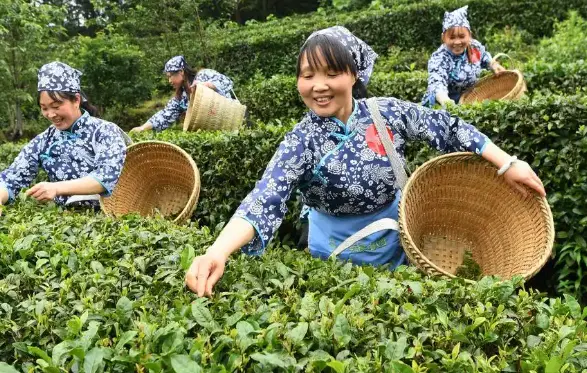 上海朵云书院：上海中心52层的云端阅读奇境，究竟有多震撼？