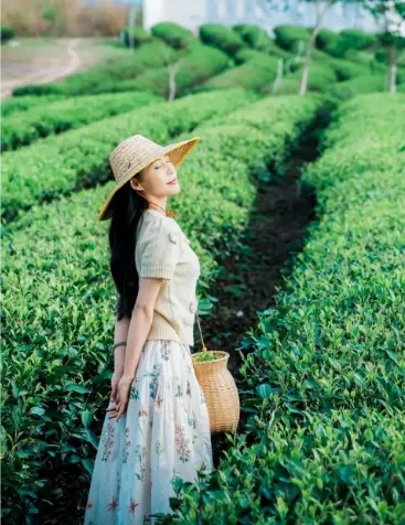 上海朵云书院：上海中心52层的云端阅读奇境，究竟有多震撼？
