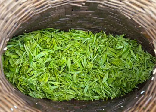 上海浦东美术馆-东方明珠打卡窗-临展推荐：这个神仙机位再不去就亏大了！