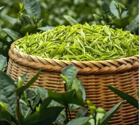 上海景点打卡推荐榜刷屏朋友圈，同城交友休闲娱乐新玩法你还没上车？