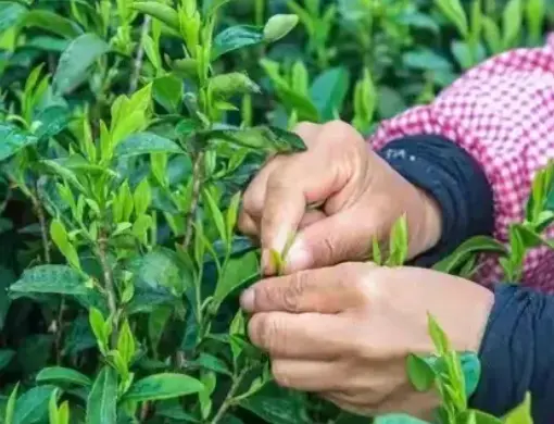 上海景点打卡推荐榜刷屏朋友圈，同城交友休闲娱乐新玩法你还没上车？