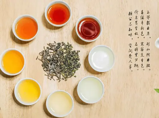 上海同城活动资讯新潮流：品茶交友何以成为本地热点风向标？🍵