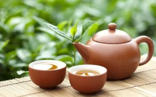 上海山余草舍-复兴西路茶室-园林喝茶：藏在梧桐深处的这处秘境，凭什么让全城茶客集体破防？🌿